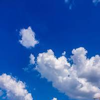 Taeheemin Taehee Github - High Quality Vintage Illustration - Desktop