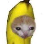 Markovchenitri Markov Github - Mobile Light Backgrounds for Desktop