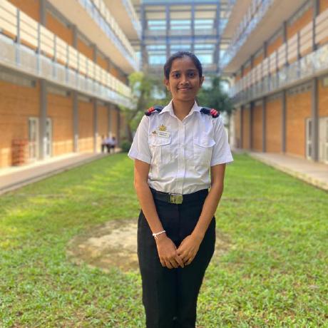 Himashachinthani Himasha Chinthani Github - Sunset Illustration Collection - 8K Quality