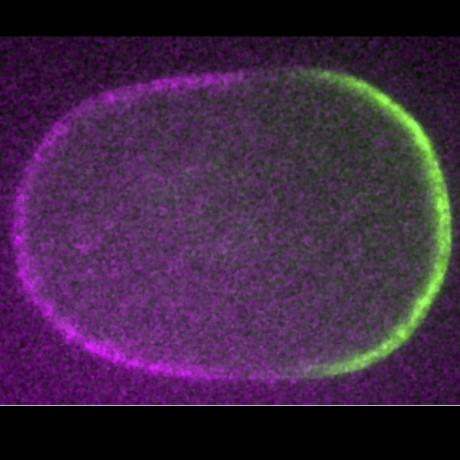 Daniel Dickinson Daniel Dickinson Github - Professional Ocean Image - Desktop