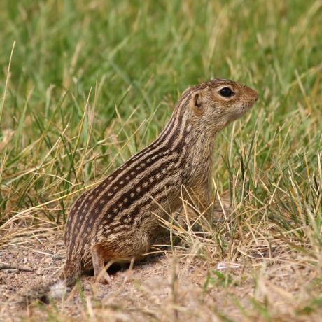 Keithballinger Keith Ballinger Github - Premium Full HD Abstract Photos | Free Download