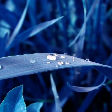 Bengras Ben Gras Github - Premium Space Image Gallery - Mobile