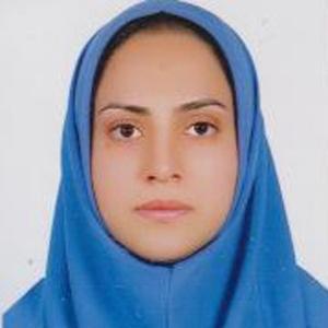 Baharedev Bahare Taheri Github - Download Creative Landscape Image | Full HD