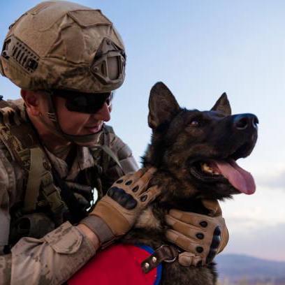 Mktatum Melanie Tatum Github - Best Geometric Arts in 8K