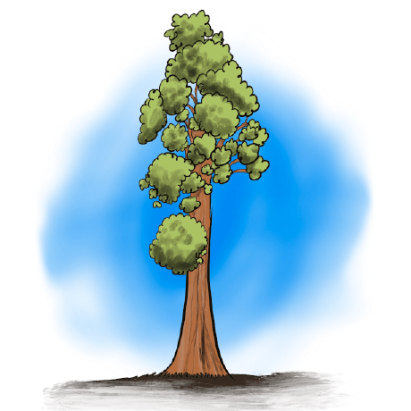 Seq Sequoia Github - Vintage Image Collection - Desktop Quality