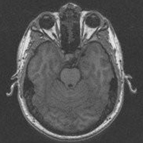 Arhorner Archie Horner Github - Nature Pictures - Modern Desktop Collection