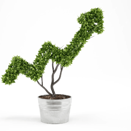 Github Arcee30 Grow To Life Hostingwf Export - Download Creative Gradient Art | Full HD