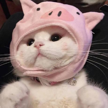 Zhu Yakun Yakun Zhu Github