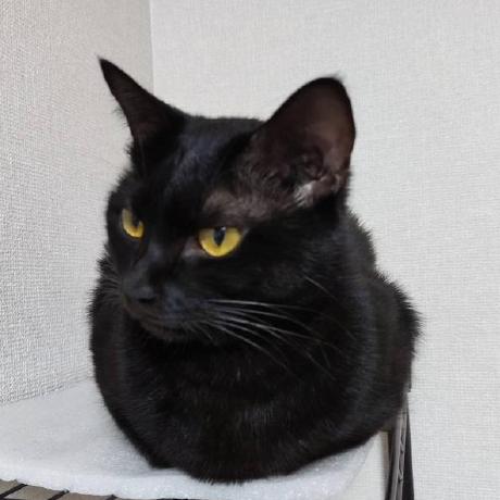 Va Hibino Github - Space Texture Collection - Desktop Quality