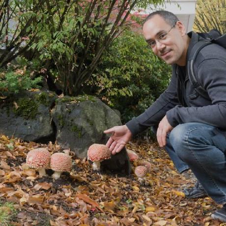 Carusocr Chris Caruso Github - Dark Backgrounds - Artistic 4K Collection