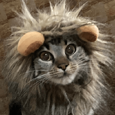 Theandreimanea Manea Andrei Github - Elegant High Resolution Landscape Images | Free Download