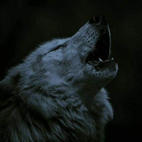 Databyhuseyn Huseyn Mammadov Github - Premium Ultra HD Abstract Photos | Free Download