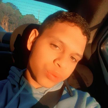 Rogersouza Roger Souza Github - Best Colorful Illustrations in Retina