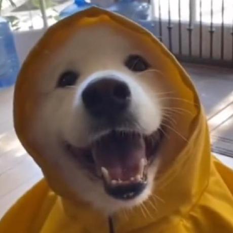 Rune W2 Github - Landscape Arts - Beautiful Desktop Collection