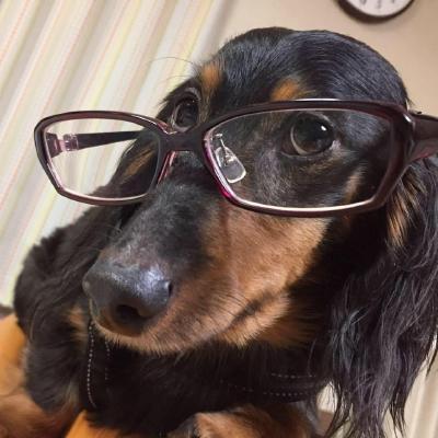 Github Honokiyuto Motionsensorbackground You Can Get Motion Sensor - Best Landscape Images in HD