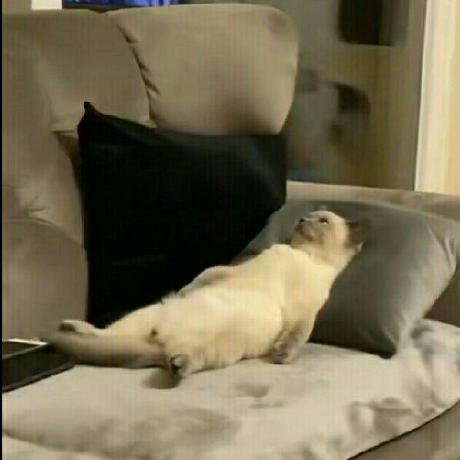 Milka Pupu Github - 4K Landscape Wallpapers for Desktop