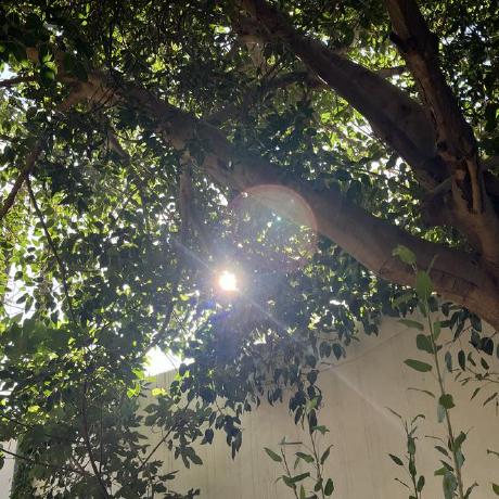 Github Pylena Cafe Analysis - Premium Minimal Pattern Gallery - Mobile