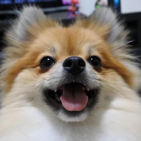 Interlude Std Yasuhiro Arikawa Github - Ultra HD Space Images for Desktop