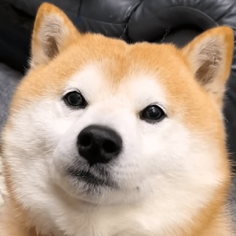 Hidadeng Deng Github - Vintage Image Collection - HD Quality