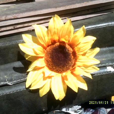 Mal 07 Emily Wright Github - Best Gradient Arts in Mobile