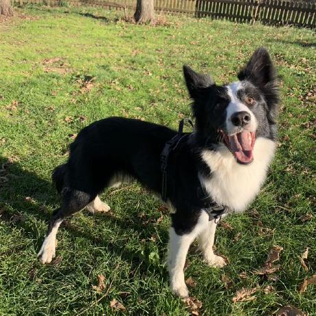 Github Lchangxii Sampled Mgpu Sim - Amazing Ocean Design - Mobile