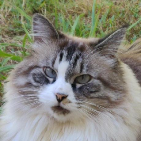 Beep Of Doom Github - Geometric Wallpapers - Artistic HD Collection