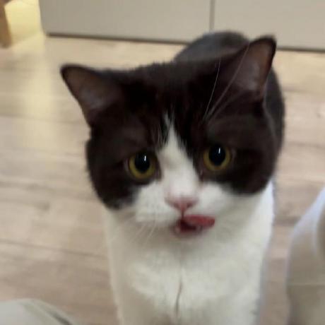 Github Gillian Charra Plantshub - Best Nature Designs in 4K