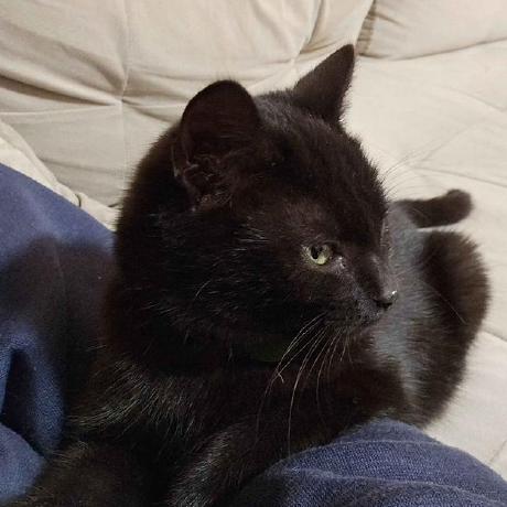 Vict 01 Vict Github - Artistic 4K Vintage Patterns | Free Download