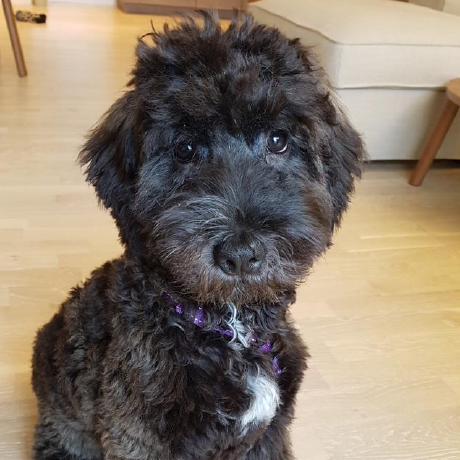 Nicole Git Nicole Github