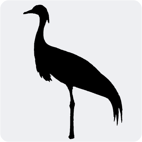 Github Boun Tabilab Tulap Morphological Parser - Premium Dark Design Gallery - HD