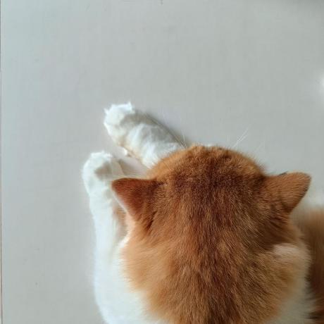 Tripham1101 Tri Pham Github - Stunning Full HD Geometric Patterns | Free Download