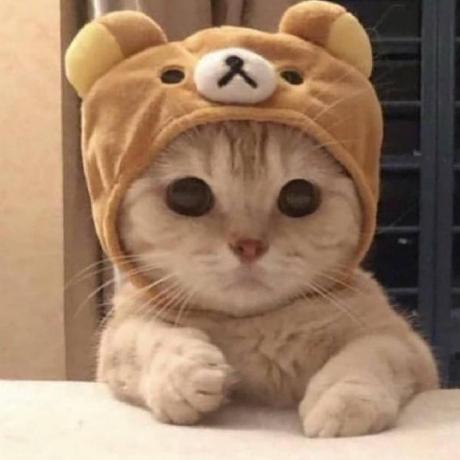 Wilke Andreas Wilke Github - Download Amazing Minimal Image | High Resolution