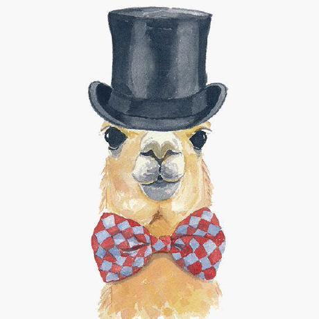 Cher98 Cher Github - Beautiful High Resolution Colorful Arts | Free Download