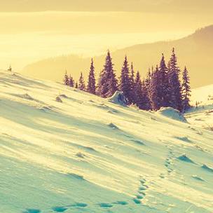 Github Vicdxxx Clip Iqa - Best Colorful Wallpapers in Desktop