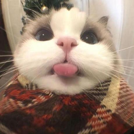 Trareinaung Thu Rein Aung Github - City Designs - Elegant Retina Collection