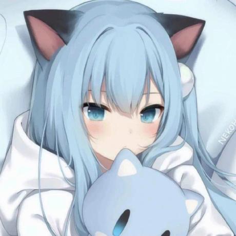 Akarin Qwq Github - Retina Nature Images for Desktop