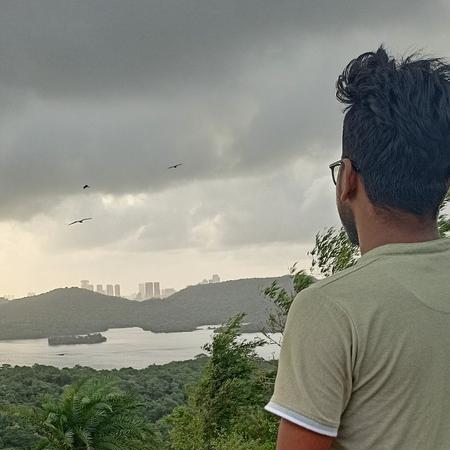 Santanu603 Santanu Deb Github - Landscape Texture Collection - 4K Quality