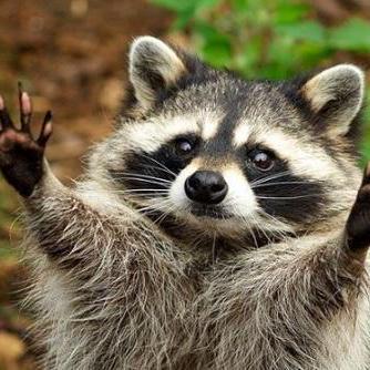 Oh So Funny Github - Incredible Light Wallpaper - Retina