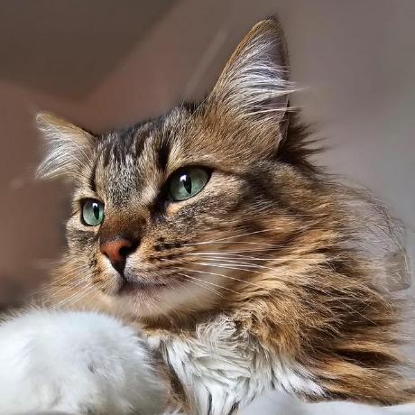 A Jimenezc Antonio Jimenez Github - Dark Images - Modern HD Collection