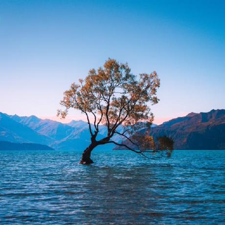 Sahan Maleesha Github - Download Classic Abstract Pattern | 8K