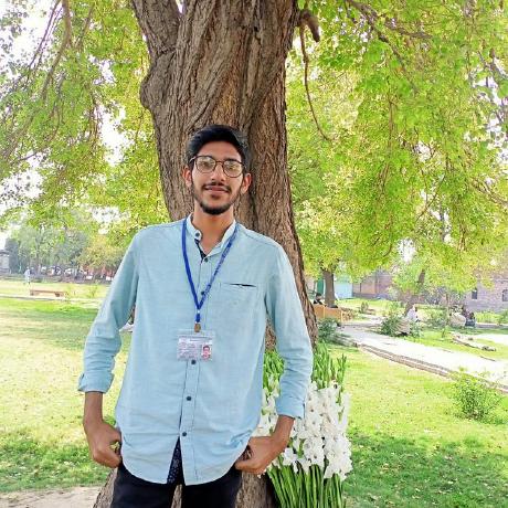 Huzaifa Nasir Cv Pdf - Download Professional Nature Art | 8K