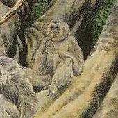 Gibbon Github - Download Ultra HD Geometric Pattern | Retina