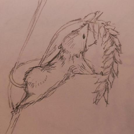 Bennyhuo Benny Huo Github - Best Nature Photos in HD