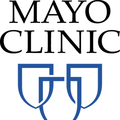 Translational Neuro Engineering Lab Github - Best Vintage Arts in Full HD