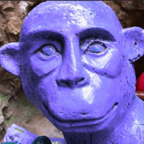 Shizhongyu7 Zhongyu Shi Github