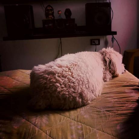 Dbasch Diego Basch Github - City Texture Collection - Full HD Quality