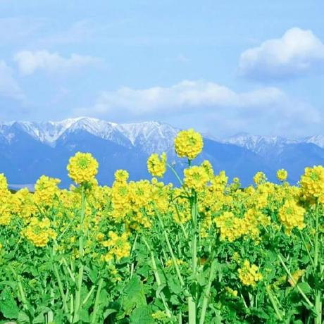 Github Xiaodaidaidai Dai Scripts - Download Amazing Mountain Picture | 8K