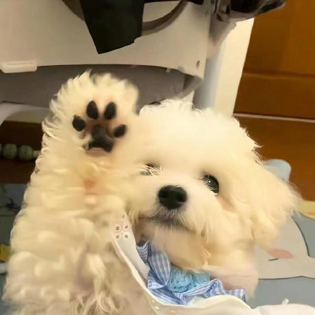 Starqiangs Qiangs Github - Mountain Illustrations - Premium Retina Collection