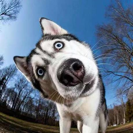 Github Thevaticancameos Python Based Verification Of Riemann - Full HD Abstract Patterns for Desktop