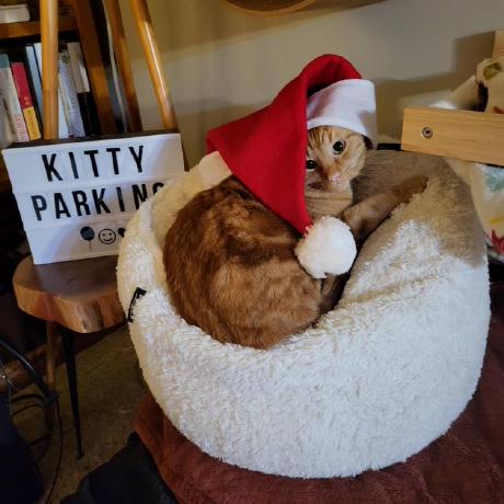 Miguelsjimenezv Miguel Jimenez Github - Premium City Illustration Gallery - Ultra HD